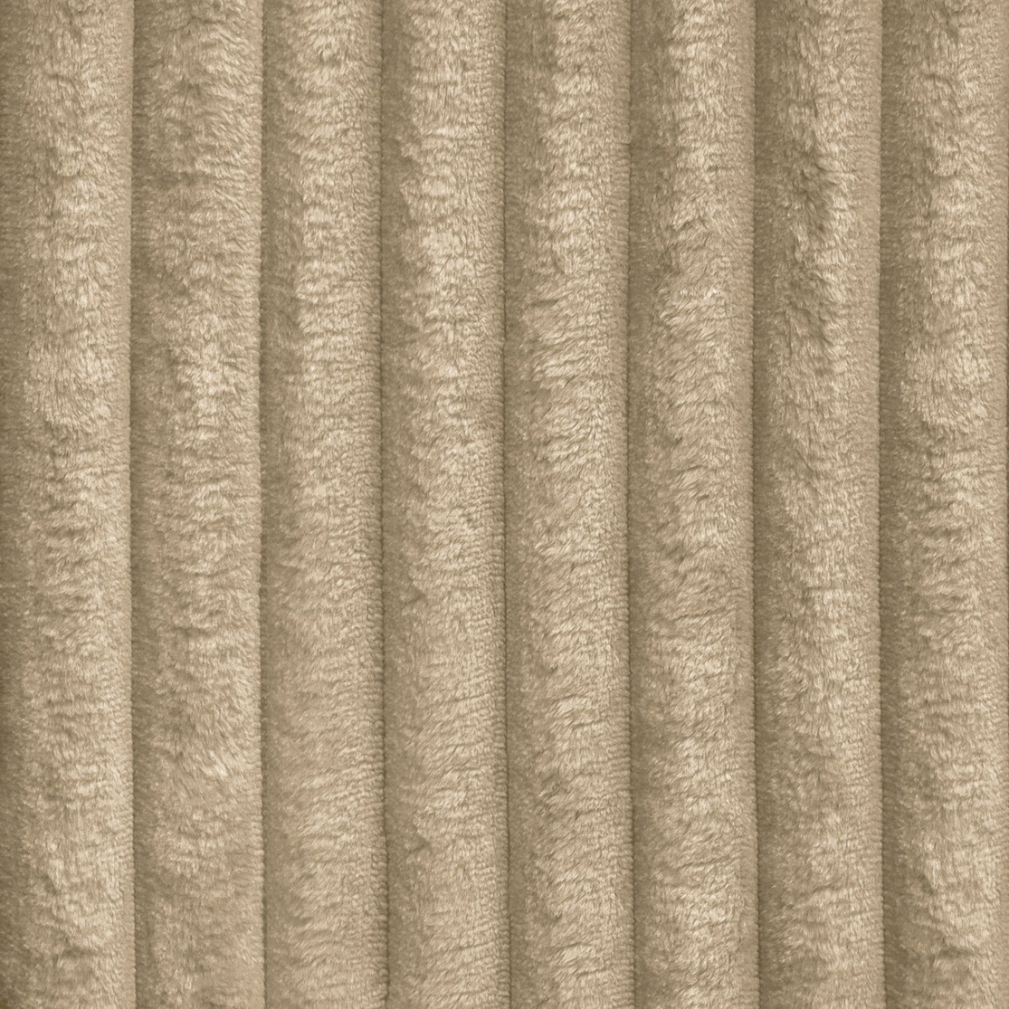 Tilia — kolor 11