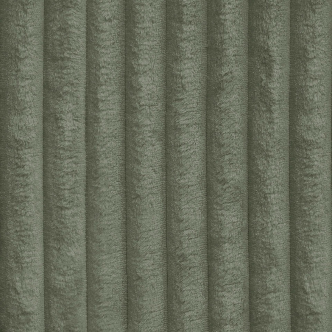 Tilia — kolor 37